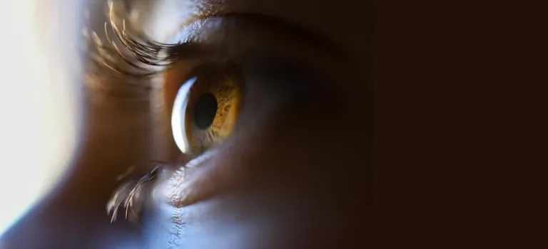 Retina - diabetes retinopátia - szemfenéki vénás keringés zavarok - makula degeneráció - keratoconus - cross-linking